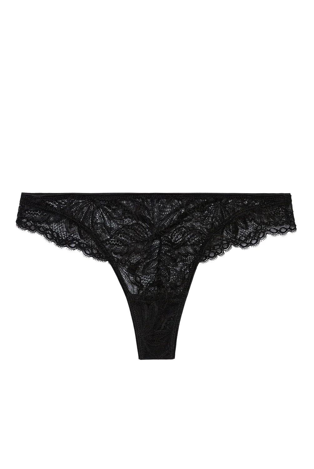 Exotica Tanga Panty - Black - Flirt! Luxe Lingerie & Sleepwear