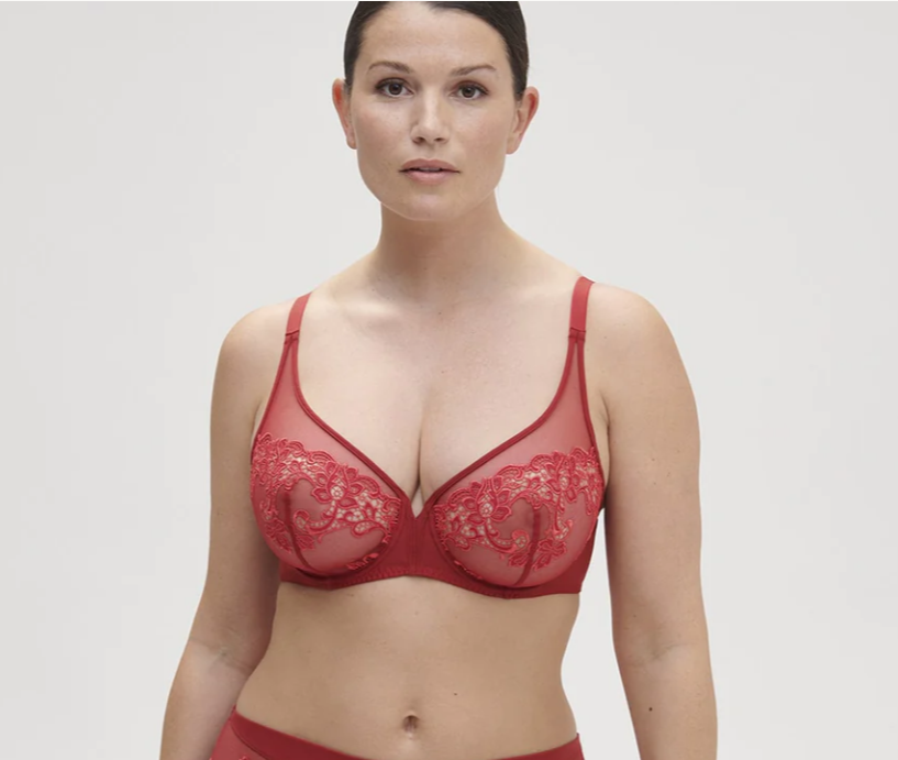 Saga Full Coverage Plunge Bra - Lipstick - Flirt! Luxe Lingerie & Sleepwear