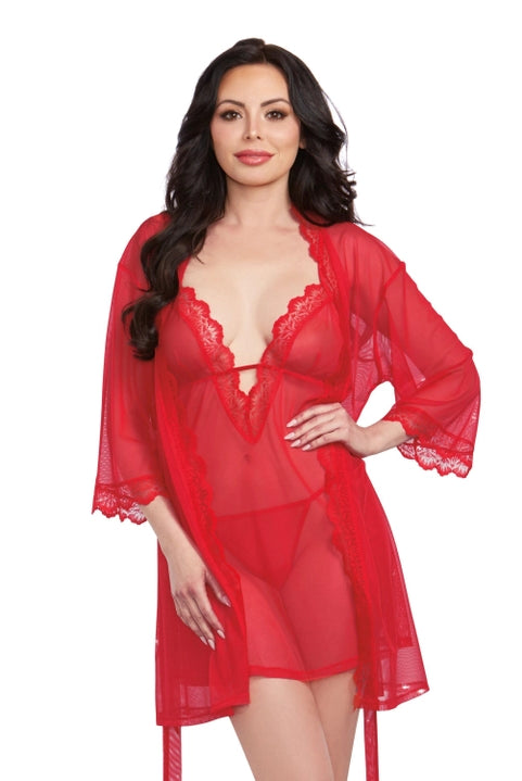 Lace Mesh Chemise & Robe Set with G-String - Flirt! Luxe Lingerie & Sleepwear