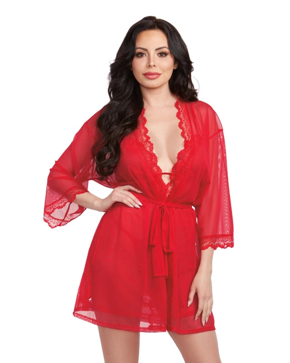 Lace Mesh Chemise & Robe Set with G-String - Flirt! Luxe Lingerie & Sleepwear